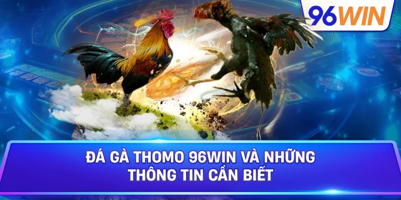 Đá Gà Thomo Góc Nhìn Toàn Diện Dành Cho Người Mới 2 Đá Gà Thomo 96win Và Những Thông Tin Cần Biết