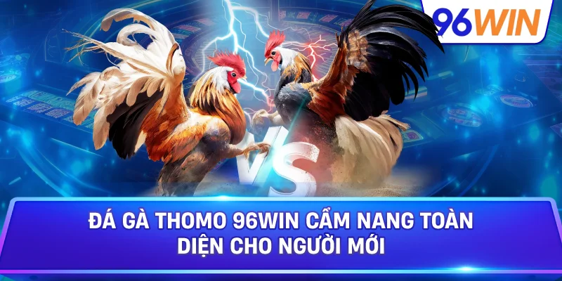 Đá Gà Thomo 96win Cẩm Nang Toàn Diện Cho Người Mới