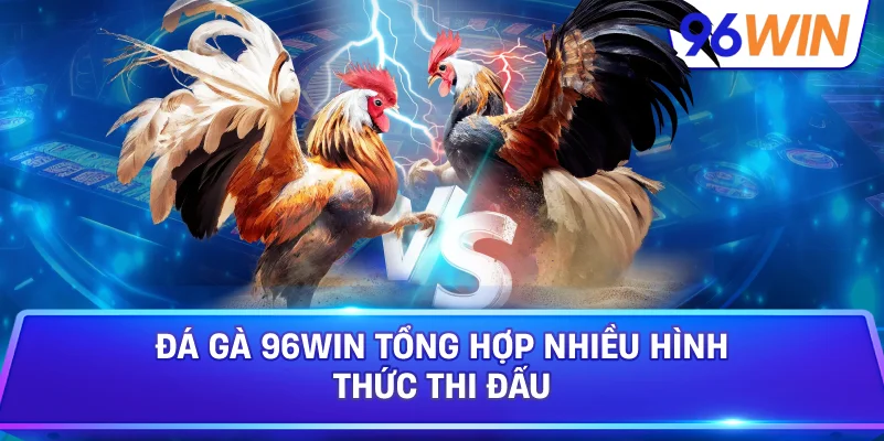 Đá Gà 96win Tổng Hợp Nhiều Hình Thức Thi Đấu