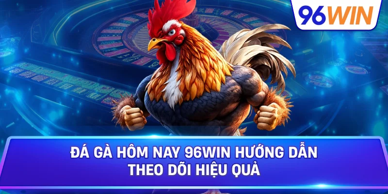 Đá Gà Hôm Nay 96win Hướng Dẫn Theo Dõi Hiệu Quả