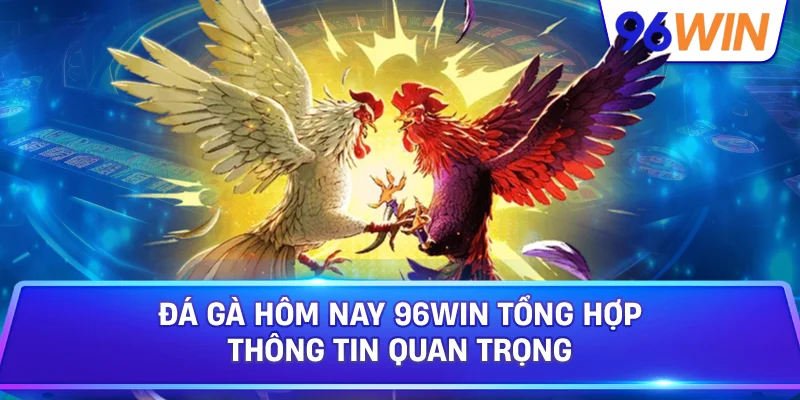 Đá Gà Hôm Nay 96win Tổng Hợp Thông Tin Quan Trọng