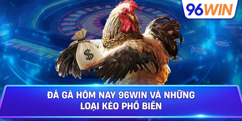Đá Gà Hôm Nay 96win Và Những Loại Kèo Phổ Biến