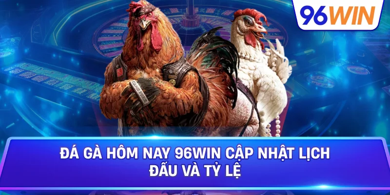 Đá Gà Hôm Nay 96win Cập Nhật Lịch Đấu Và Tỷ Lệ