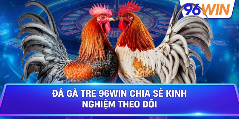 Đá Gà Tre: Kiến Thức Nhận Diện Chiến Kê Thi Đấu 4 Đá Gà Tre 96win Chia Sẻ Kinh Nghiệm Theo Dõi