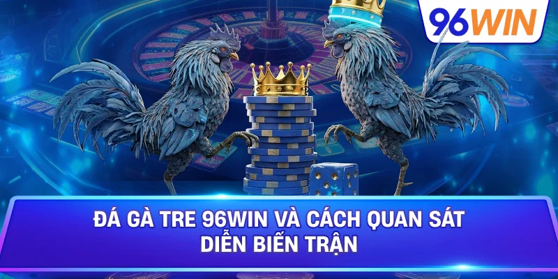 Đá Gà Tre: Kiến Thức Nhận Diện Chiến Kê Thi Đấu 3 Đá Gà Tre 96win Và Cách Quan Sát Diễn Biến Trận