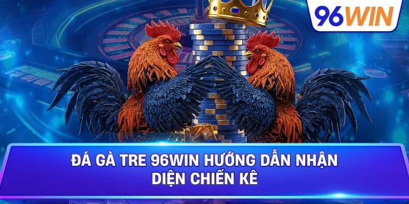 Đá Gà Tre: Kiến Thức Nhận Diện Chiến Kê Thi Đấu 1 Đá Gà Tre 96win Hướng Dẫn Nhận Diện Chiến Kê